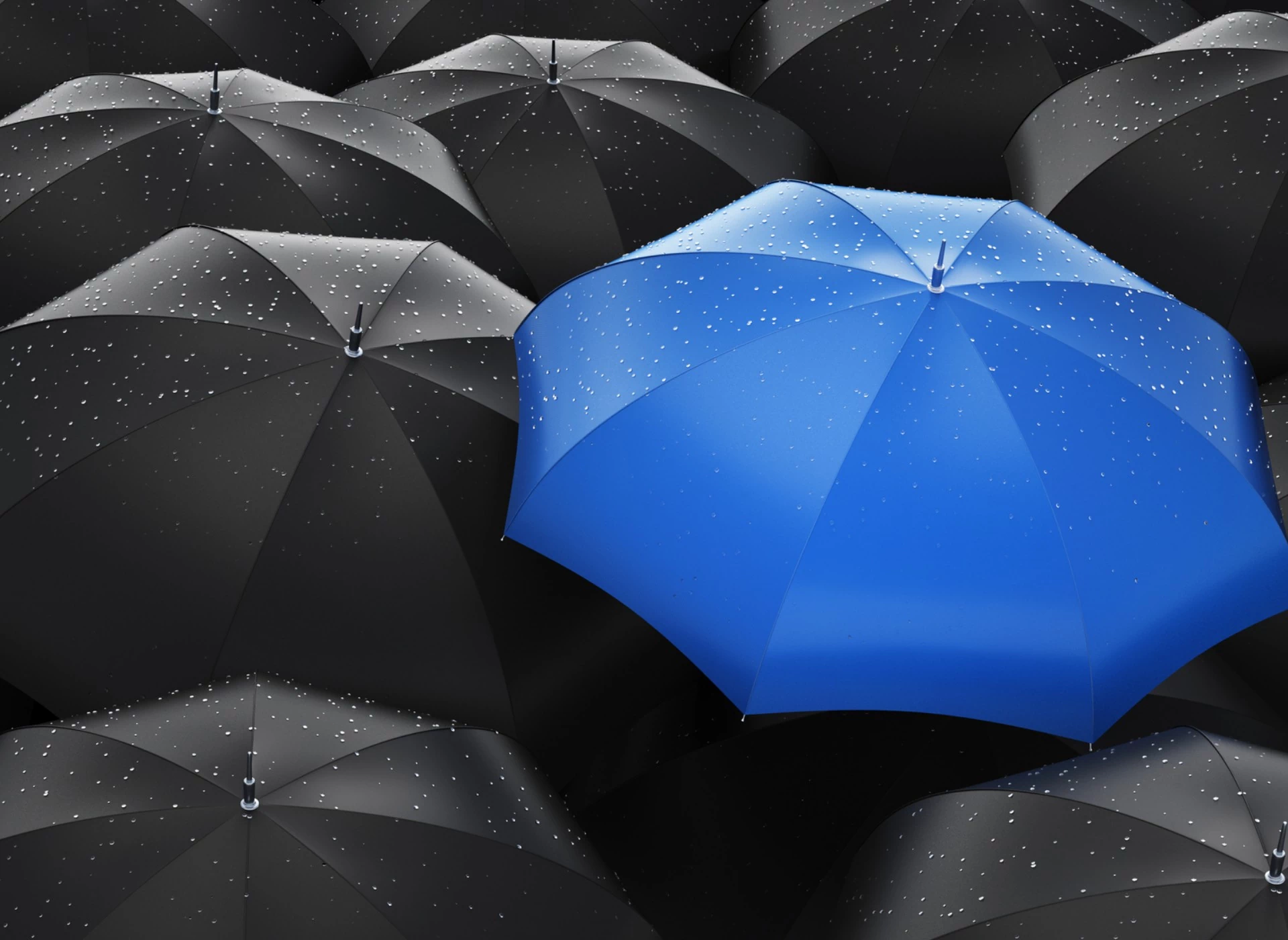 niebieski parasol